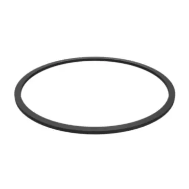 RING SEAL