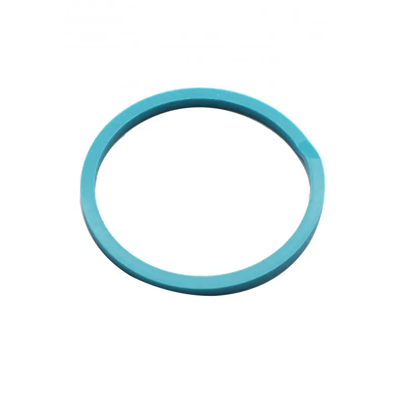 RING SEAL