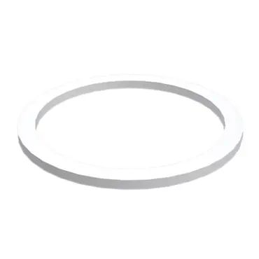 SEAL RING BACKUP