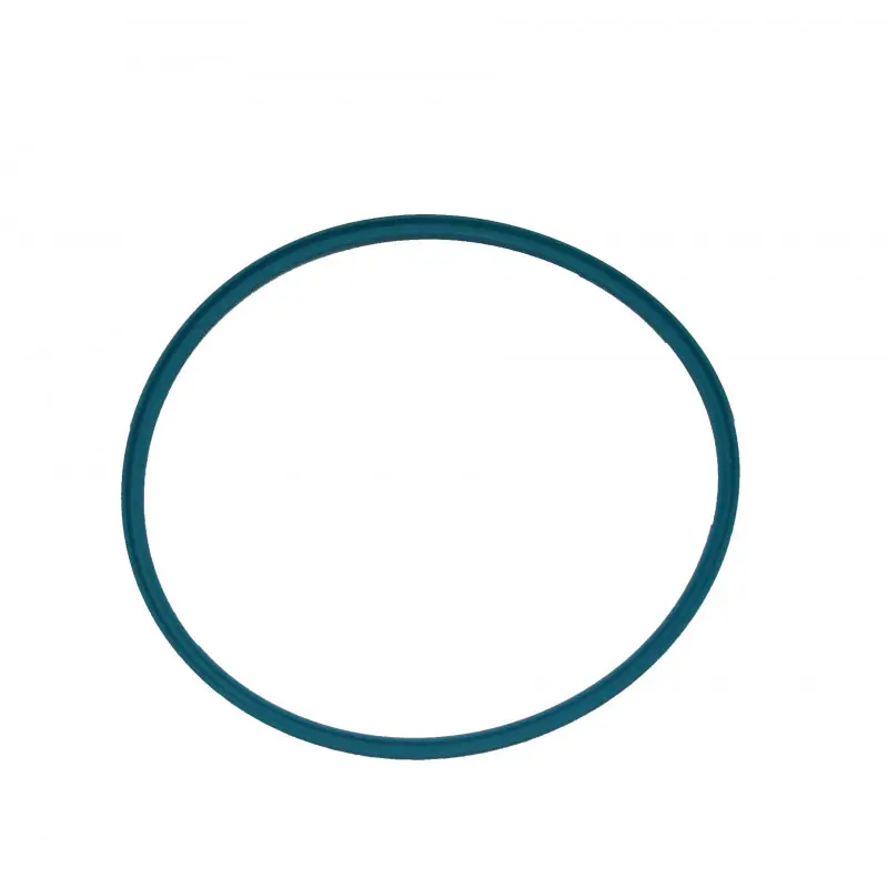 RING SEAL