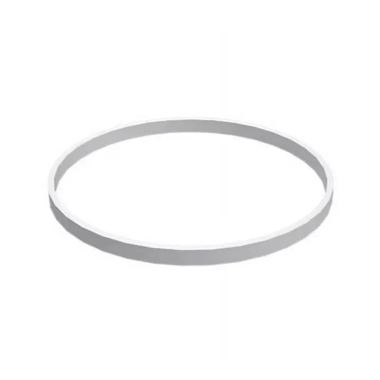 RING SEAL