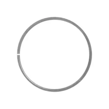 RING SEAL
