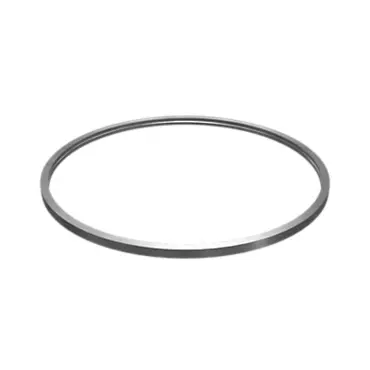 RING SEAL